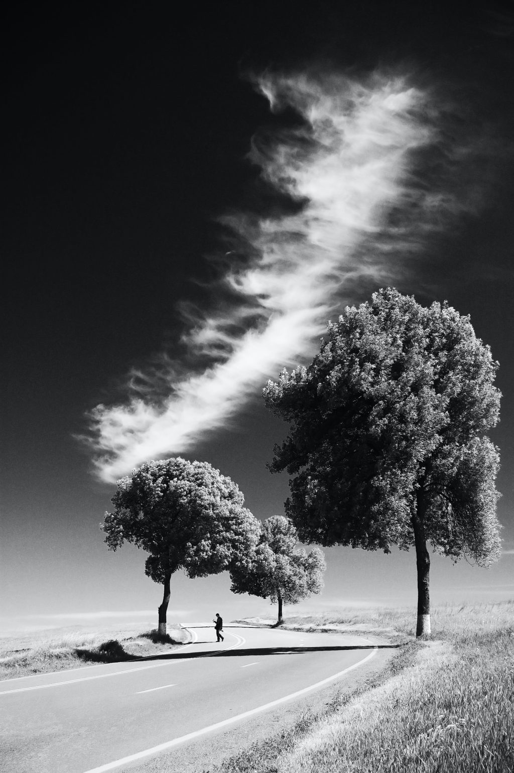 Black and white landscape photo