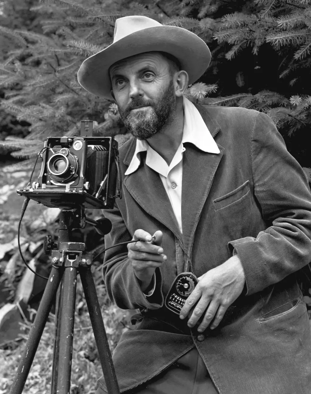 ansel adams famous photographer