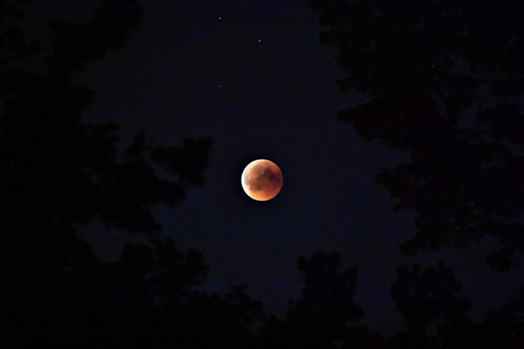 the moon and the stars are amazing subjects for astrophotography for beginners