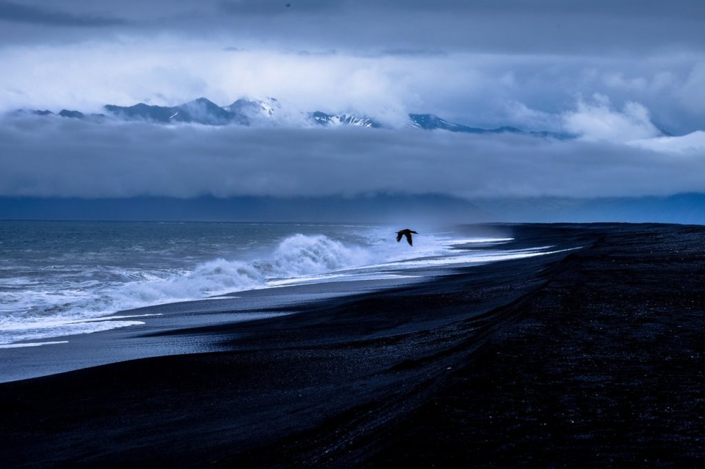 Bird flying over beach near storm.