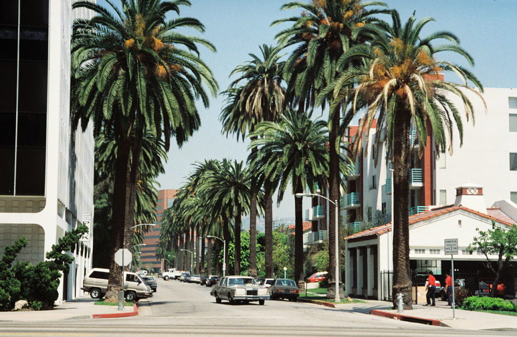 beverly hills