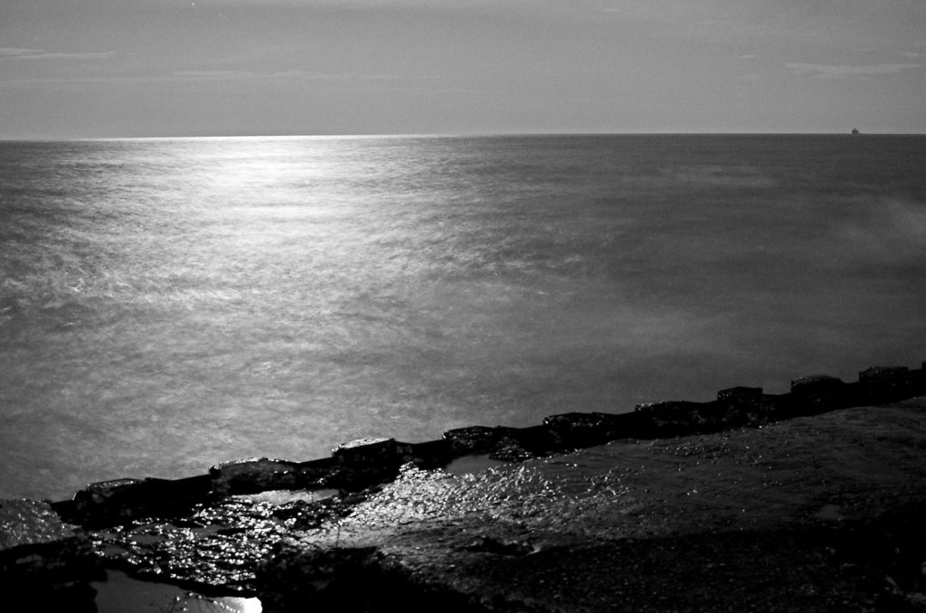 black and white night under moonlight