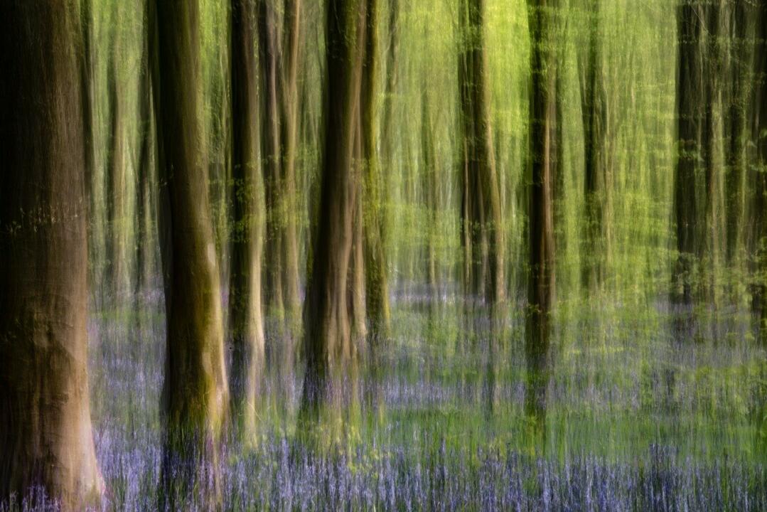people in motion, ICM-Intentional Camera Movement, FRANcisco