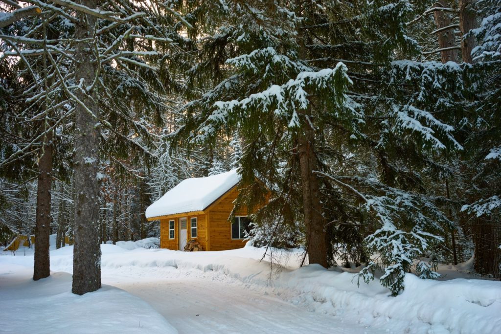 brown house near pine trees covered with snow