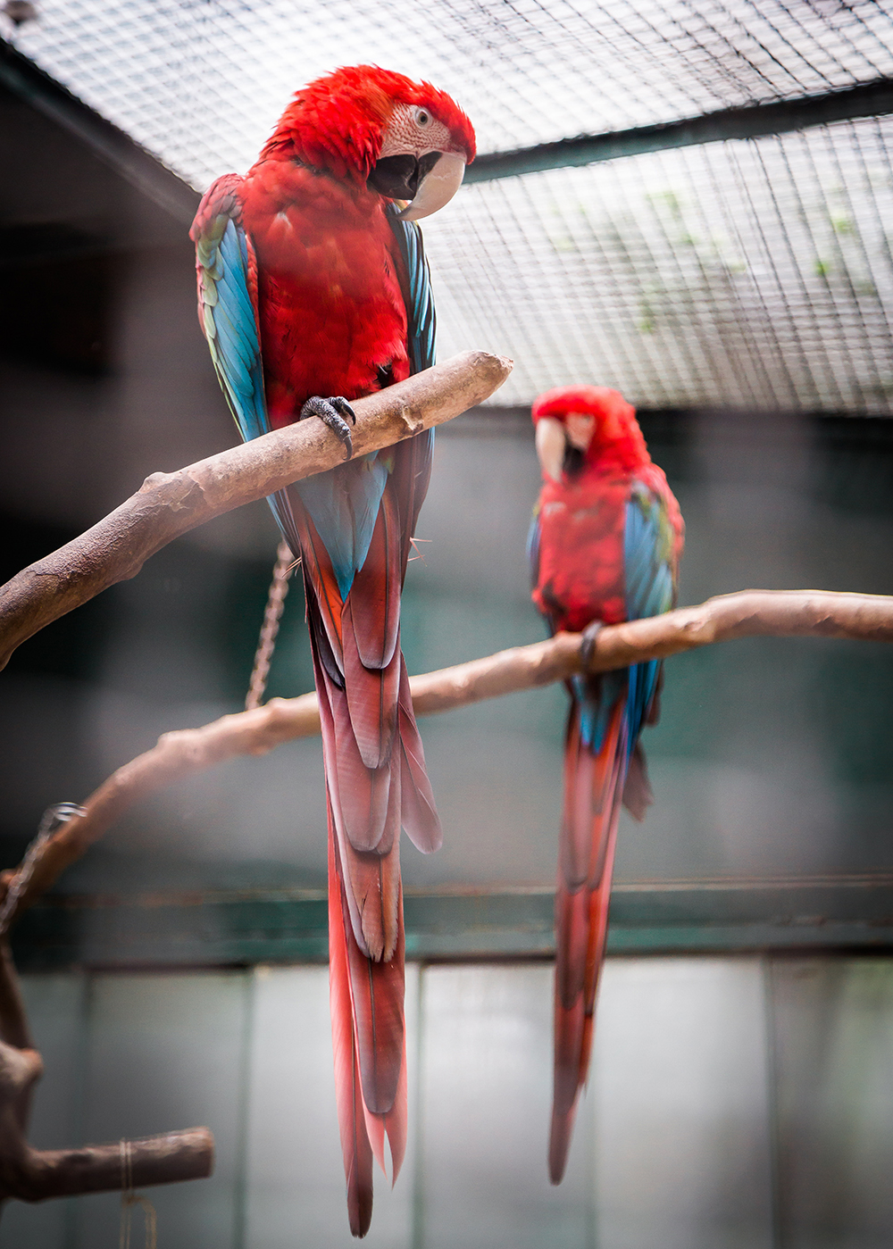 Lisbon Zoo, Lisboa, Portugal