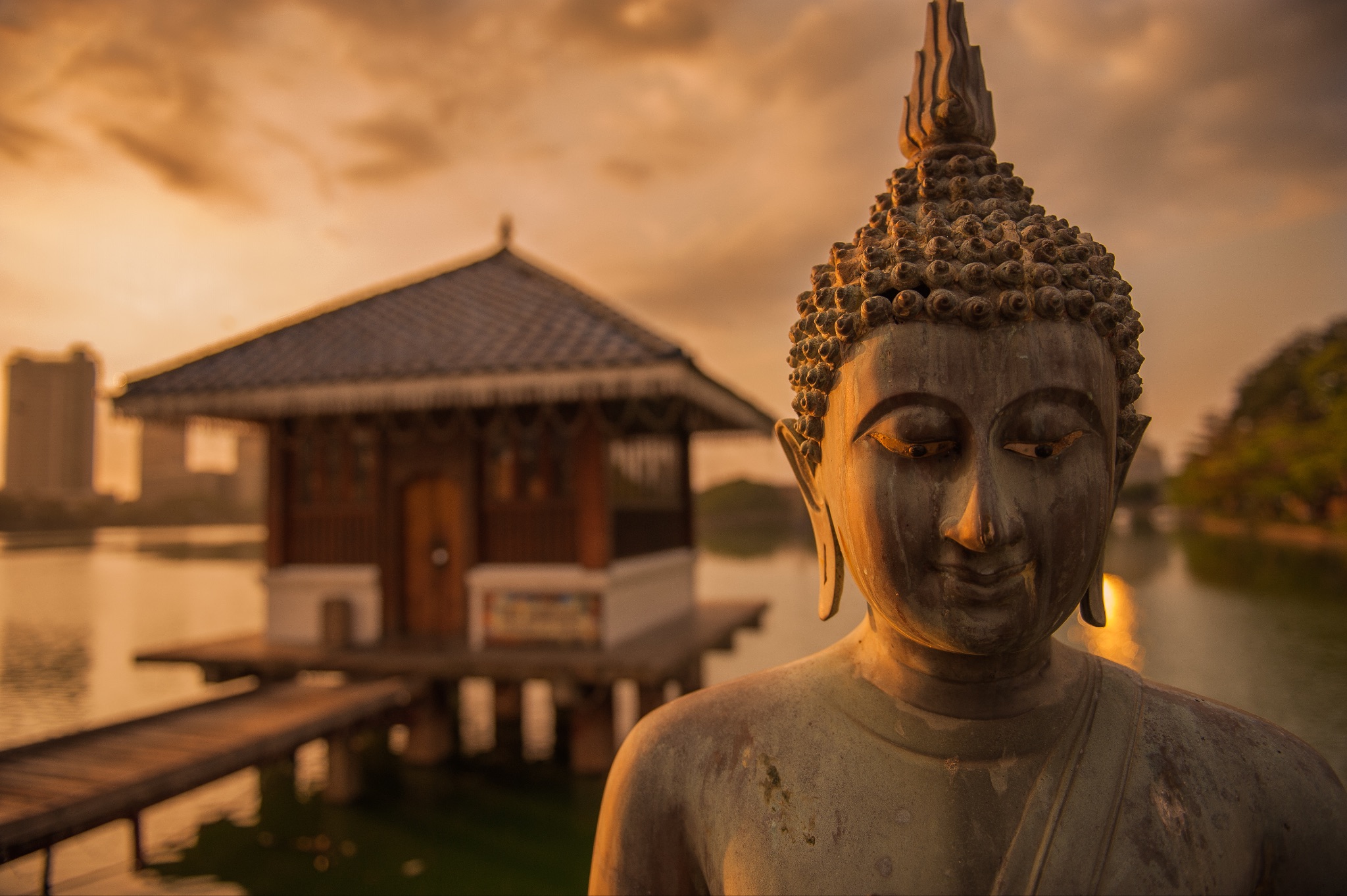 Buddha at sunset in a temple in Colombo Sri Lanka 