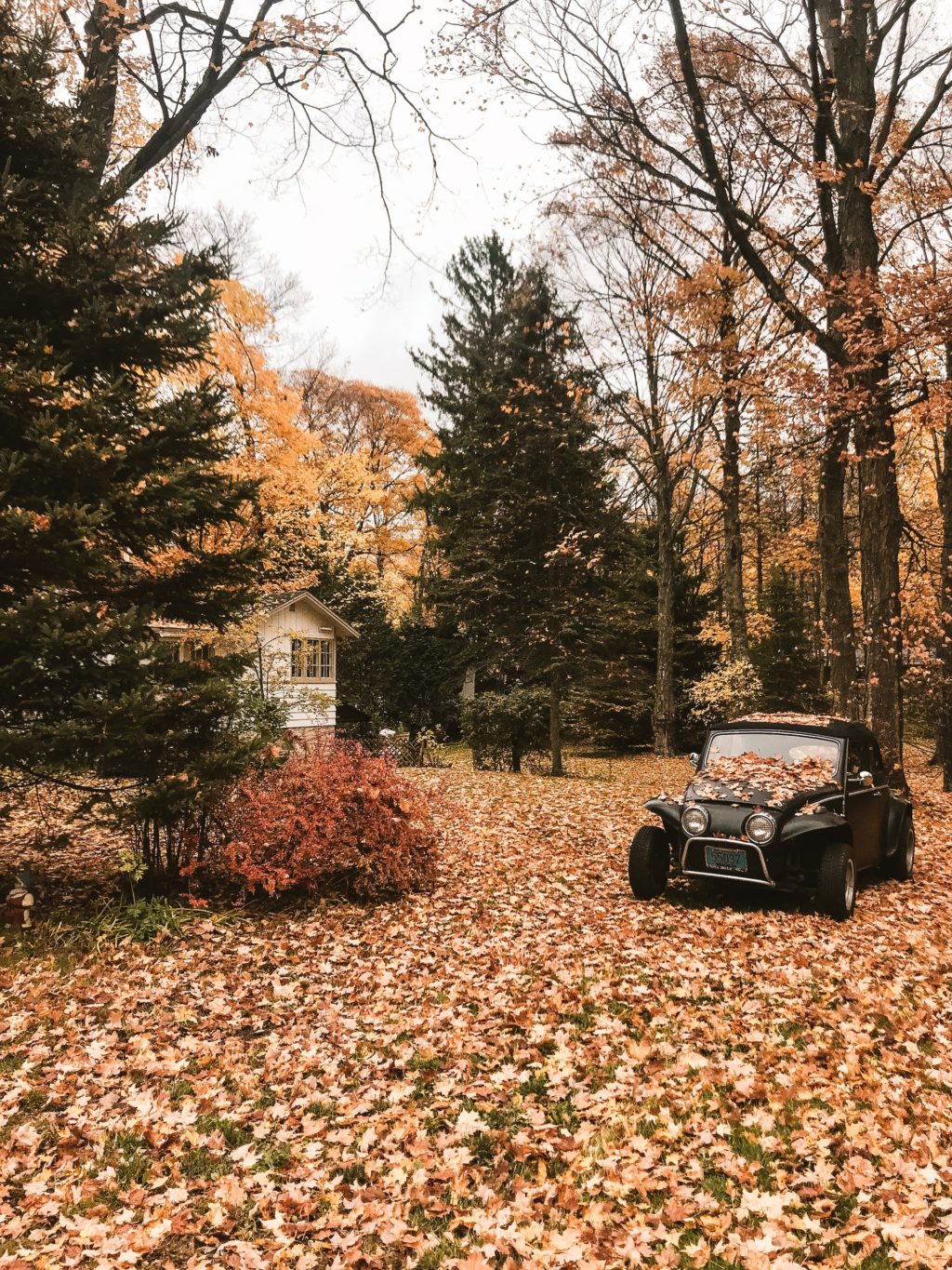 autumn landscape