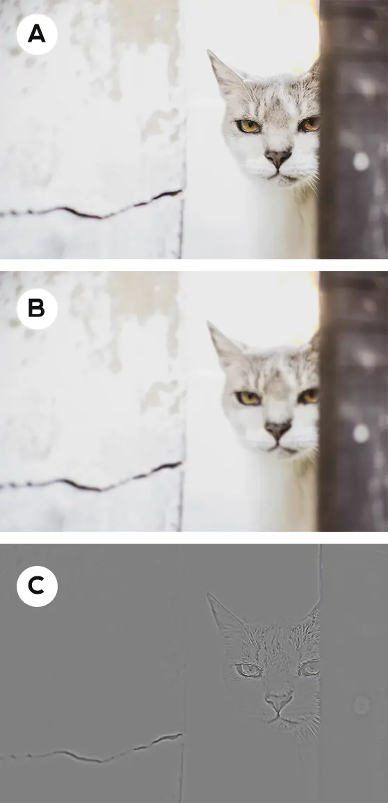 Subtle Cat therian wallpaper in 2023