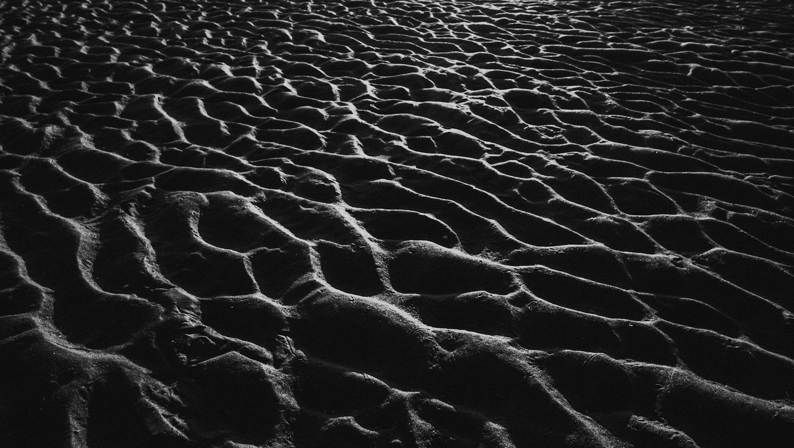 a black and white photo of a sandy beach