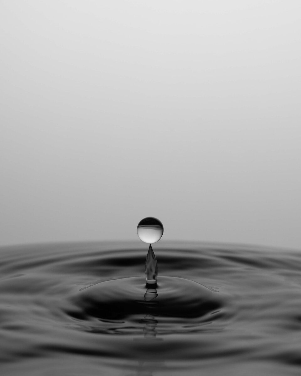 High-speed photograph freezing a split-second action