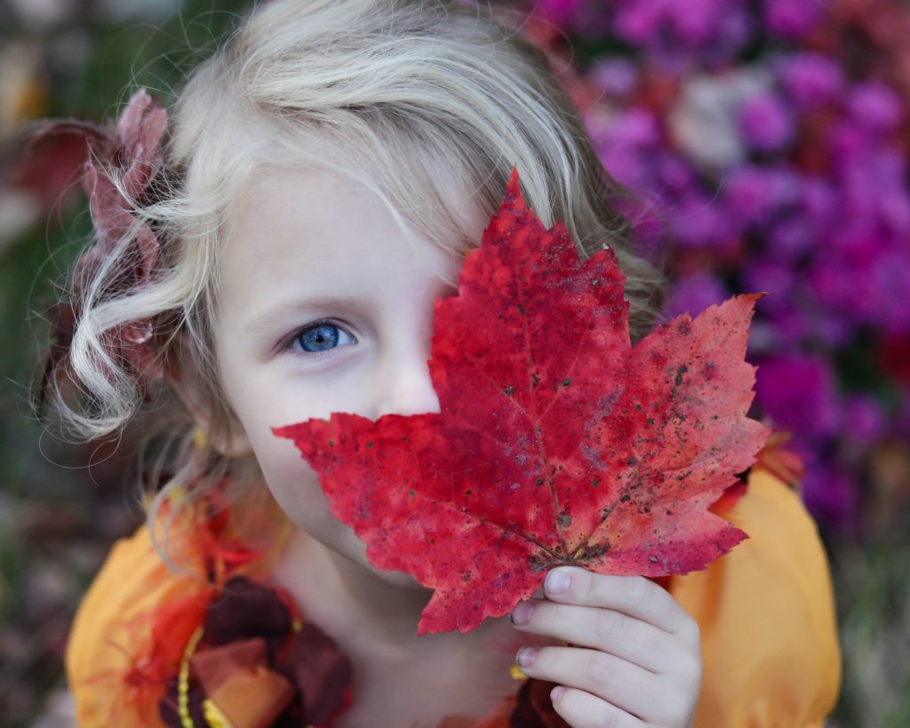 child holding a leaf