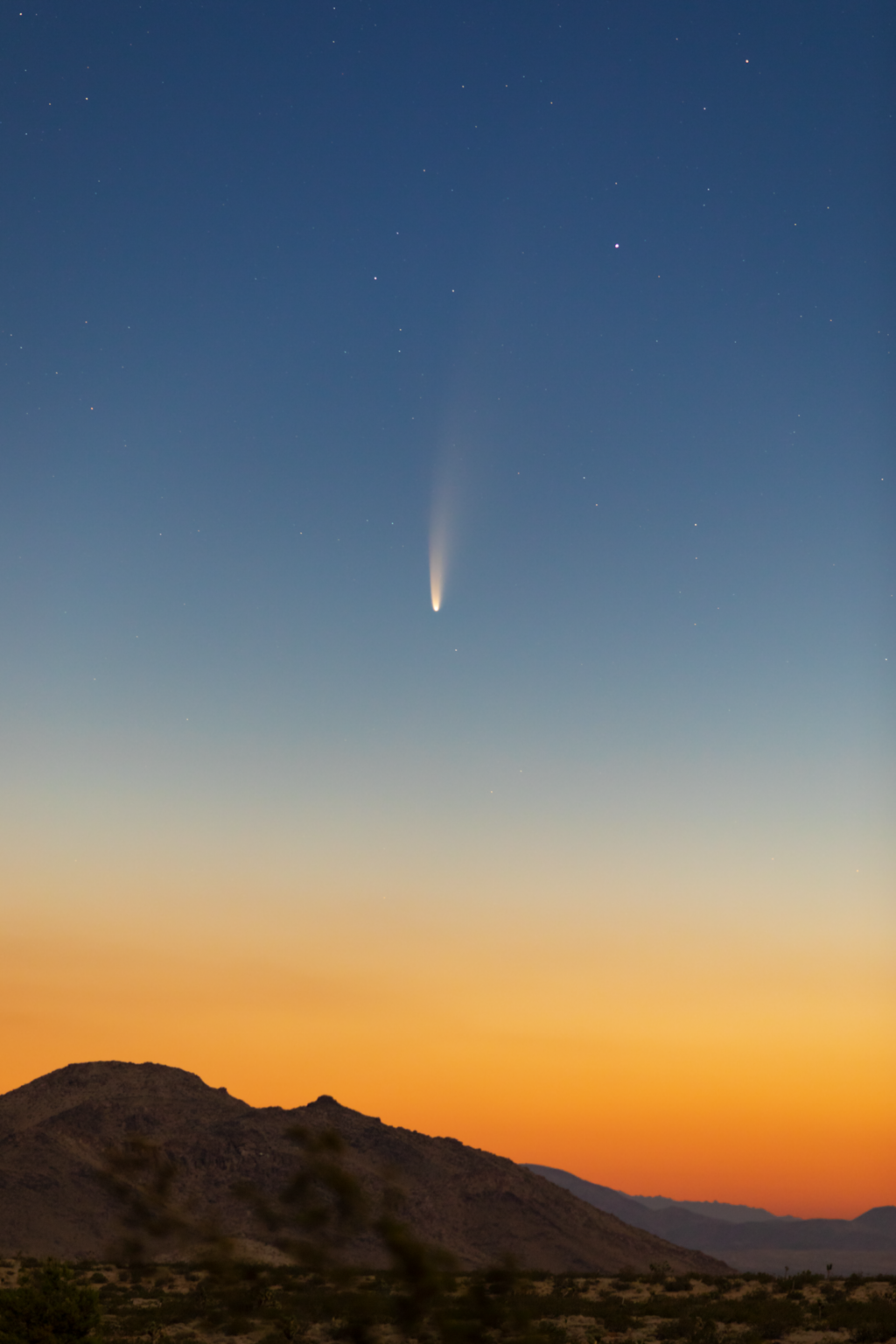 comet c f neowise over california desert landscape