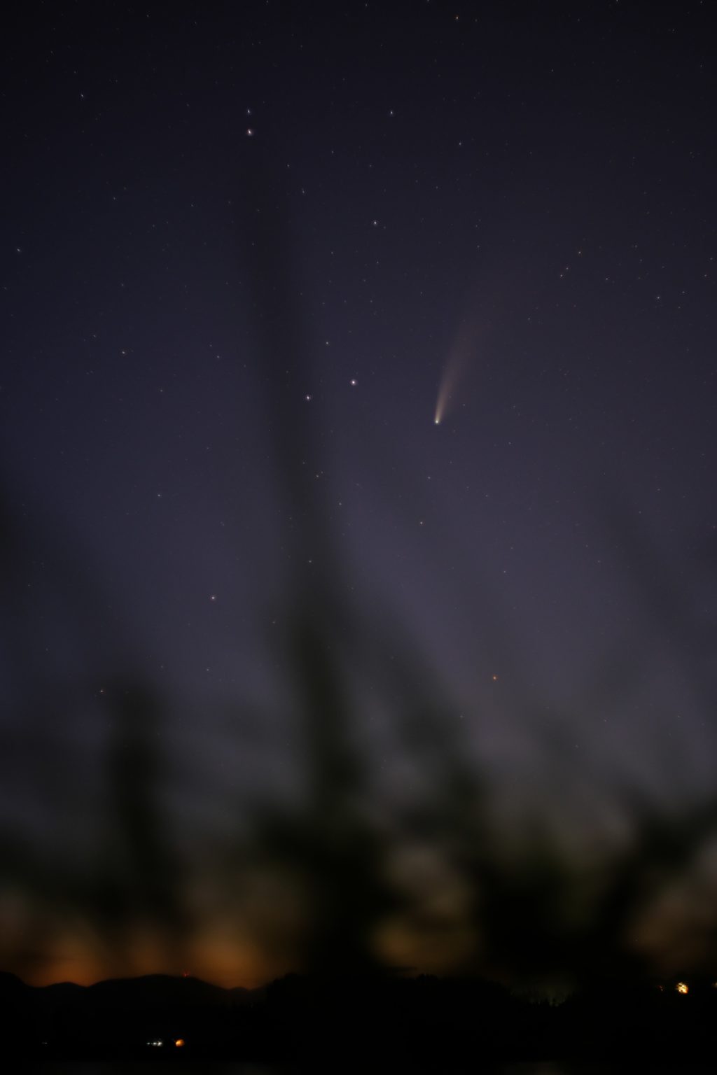 Neowise behind grass foreground