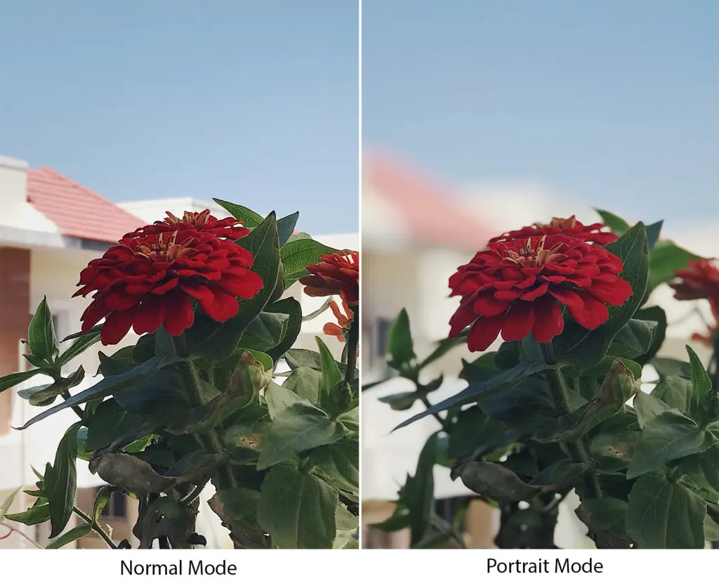 normal and portrait mode on smartphone