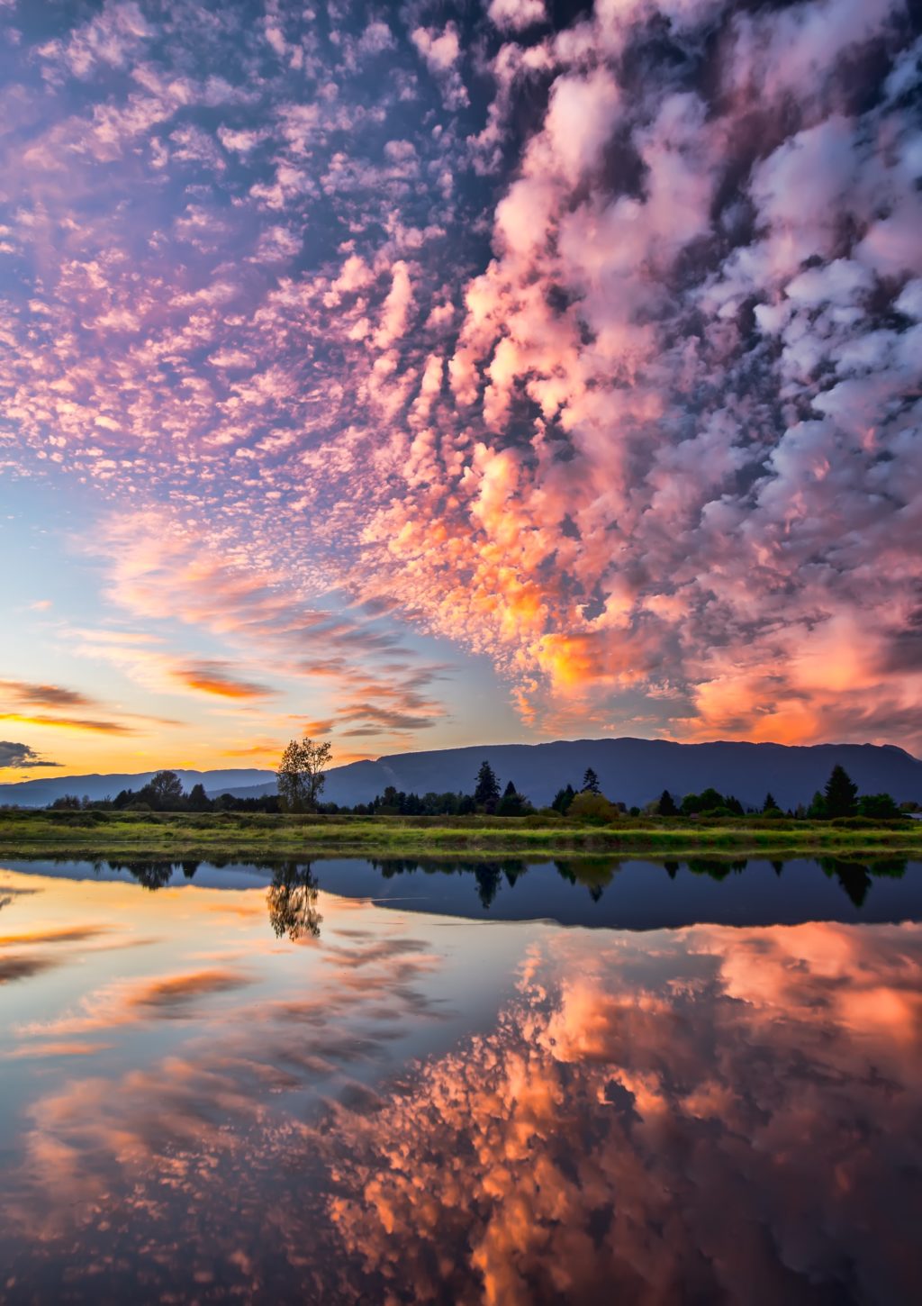 reflection of trees and clouds on water