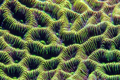 david-clode-CKCpKebng_I-unsplash