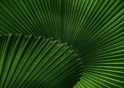 david-clode-xNSCi_K179c-unsplash