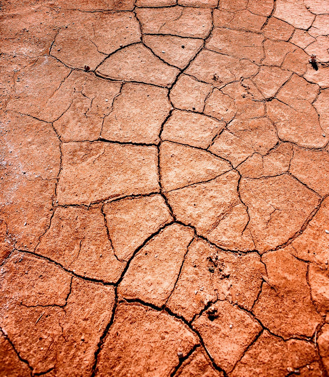 dried land