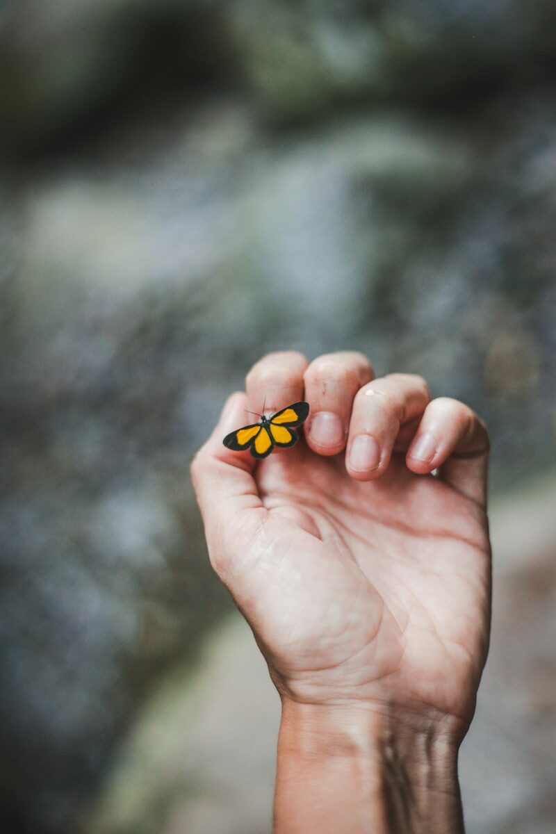 Decisive moment photography inspiration