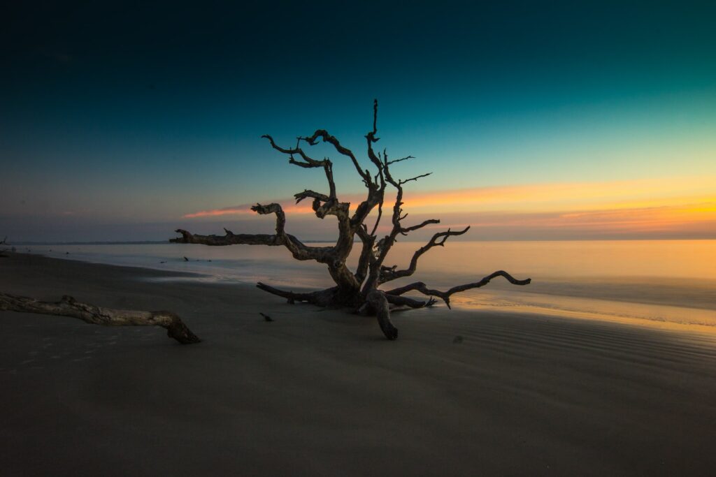 long exposure sunrise