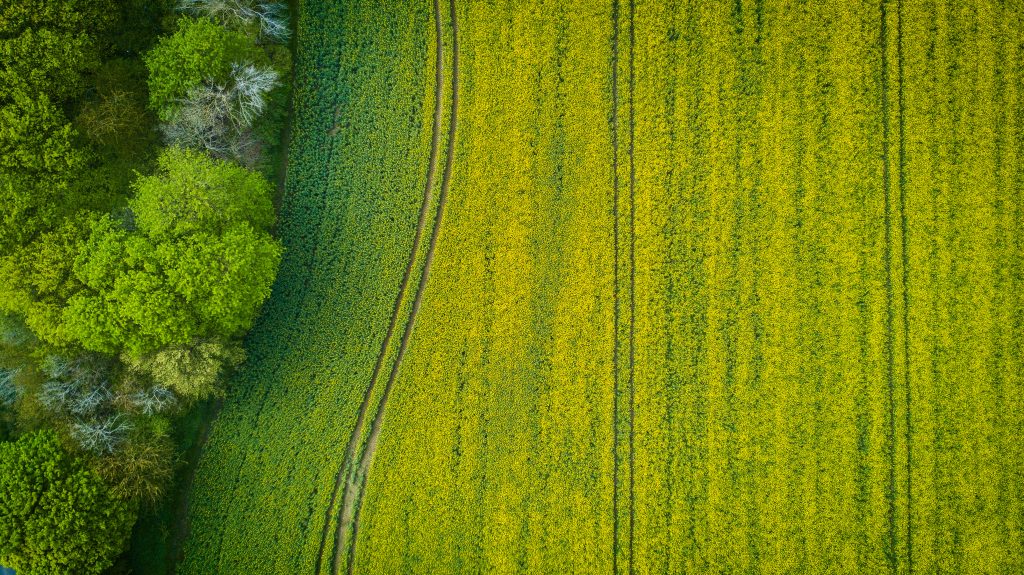 Photo by Stephan Müller