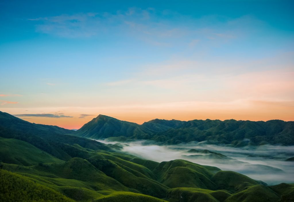 Dzukou Valley, Nagaland