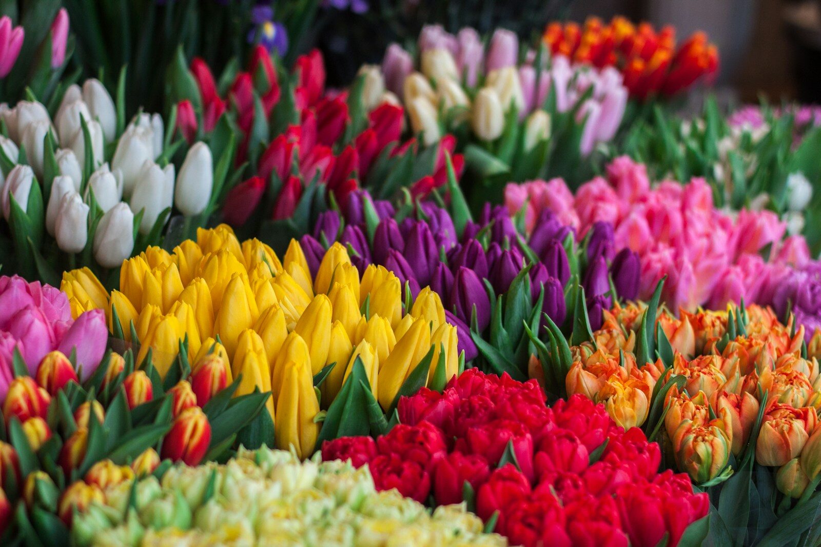 Colour photography inspiration for the August contest