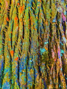eugene-golovesov-yDiT3N_sLiU-unsplash