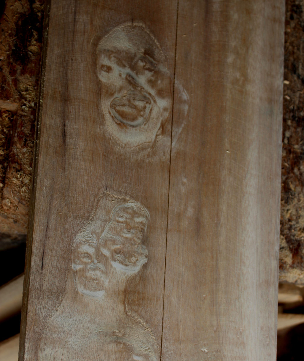 Pareidolia in wood recognize faces
