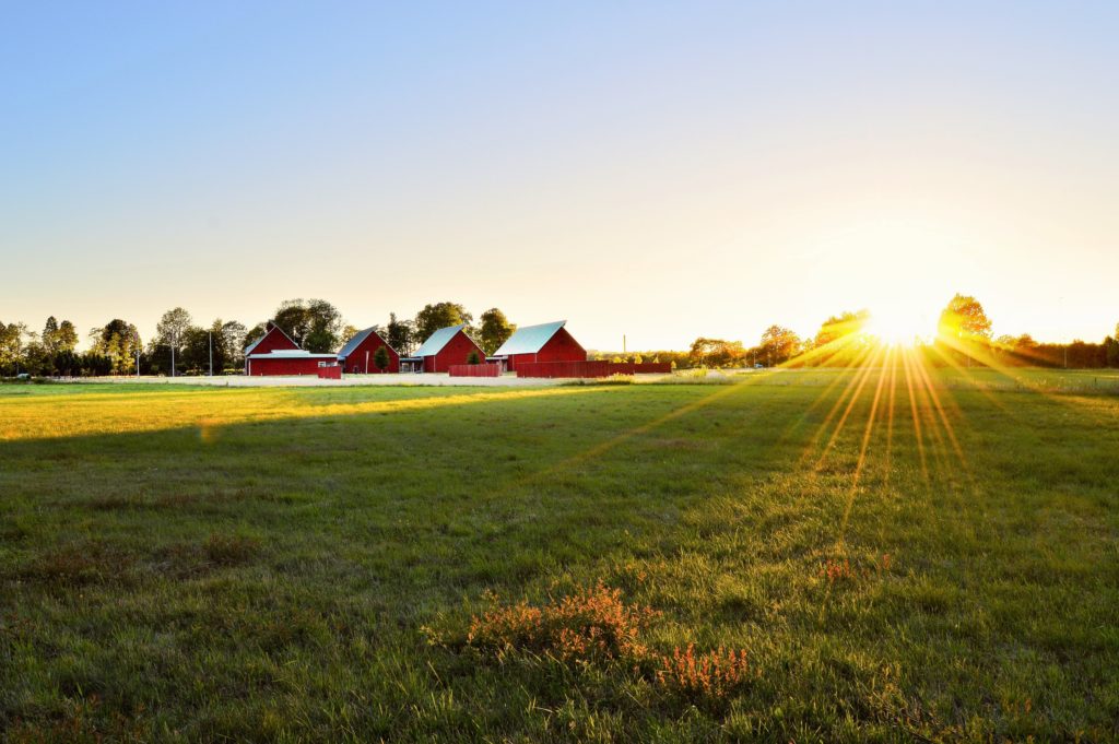 red farm houses green grass