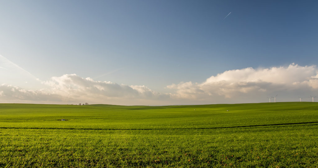 green field