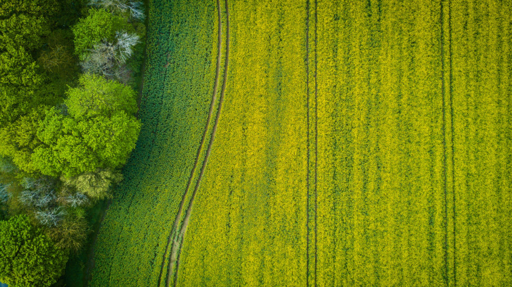 aerial photography field