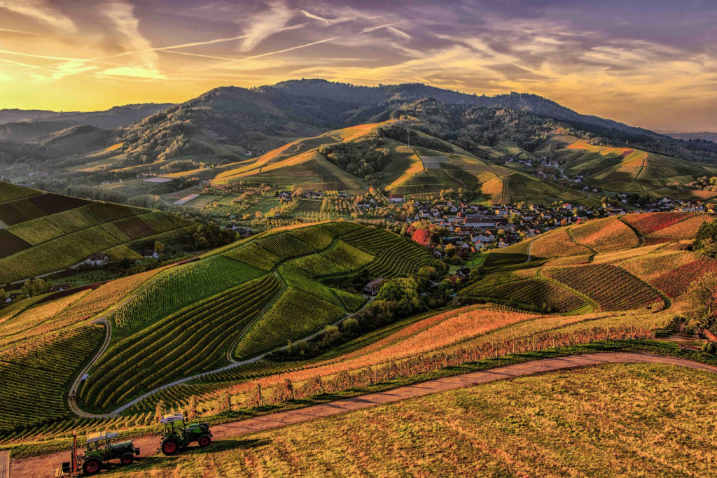 mountain farms