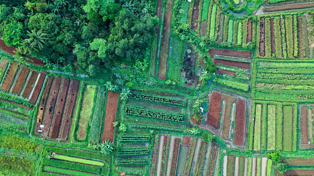 aerial photo of fields