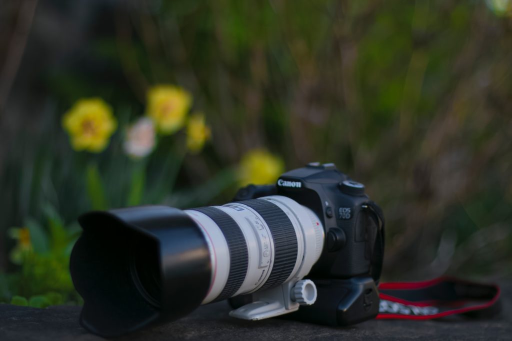 black Canon DSLR camera near yellow flowers