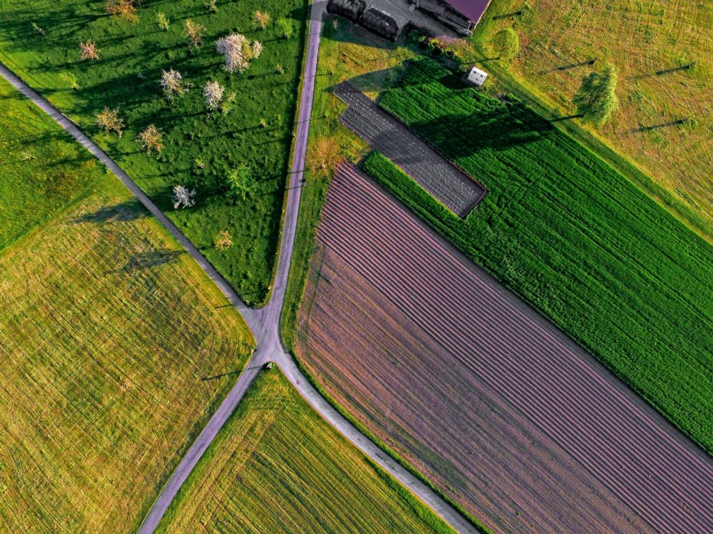 field zurich switzerland