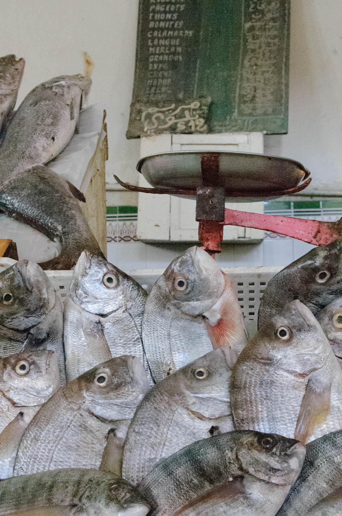 Fish in a market shot at very high ISO