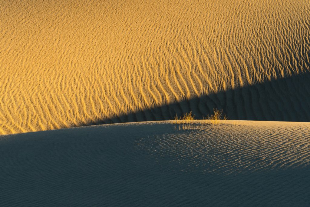 flat sand dunes usa