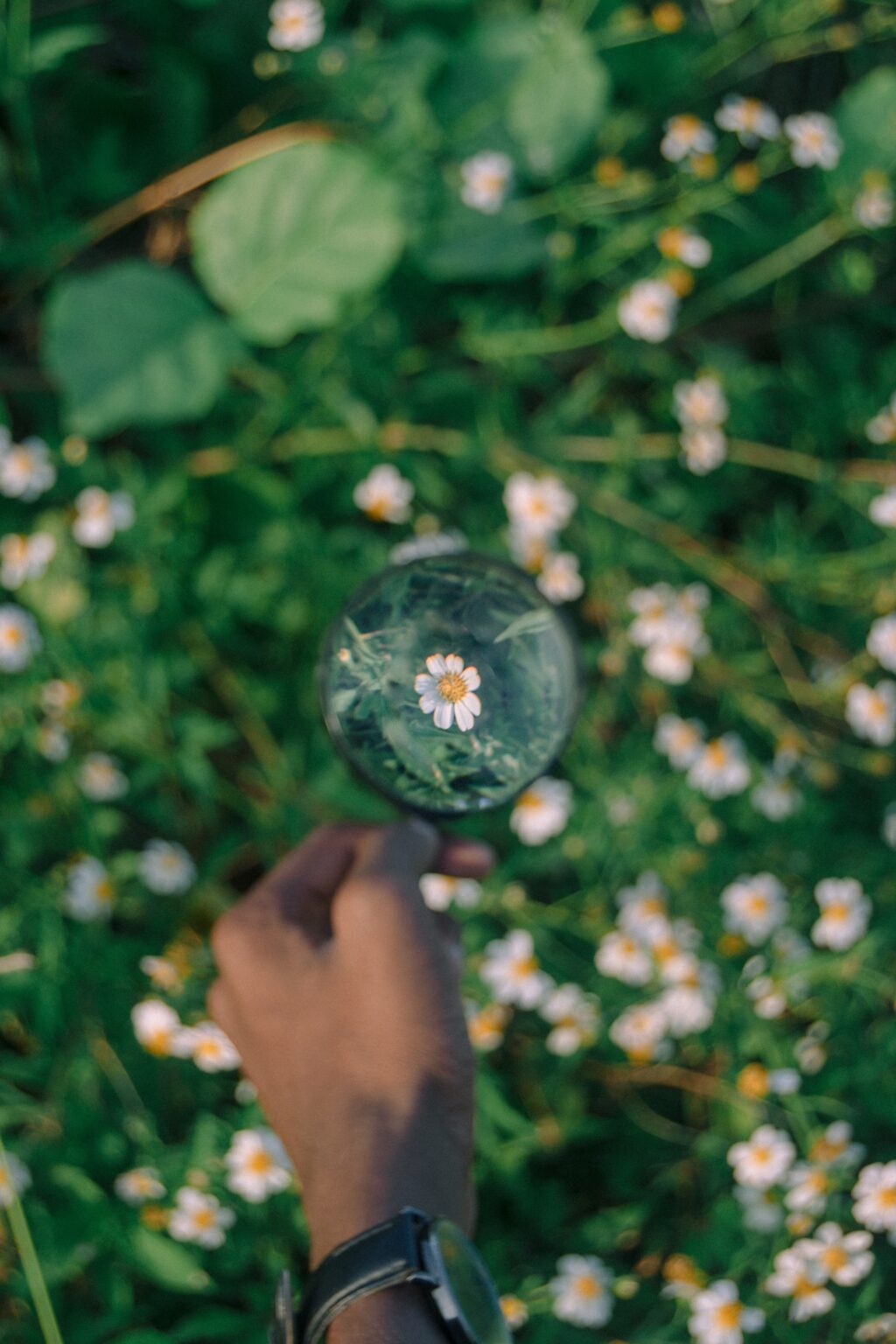 shallow depth of field