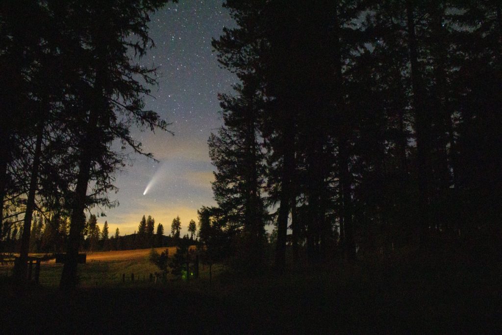 Neowise through a forest