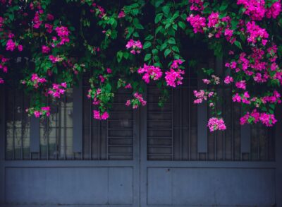 frodo-wanderer-5nETjD_2x1U-unsplash