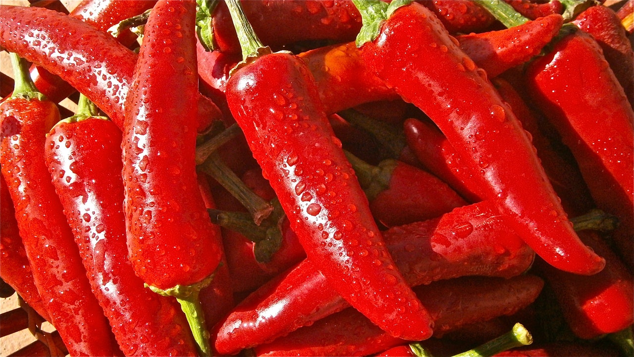 photographs of chillis