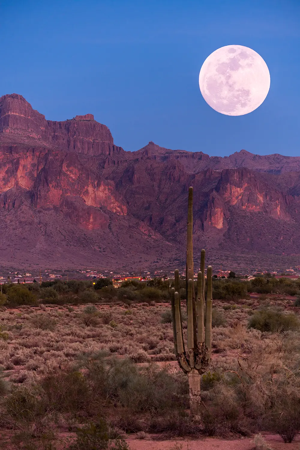 North Idaho Road, Apache Junction, United States