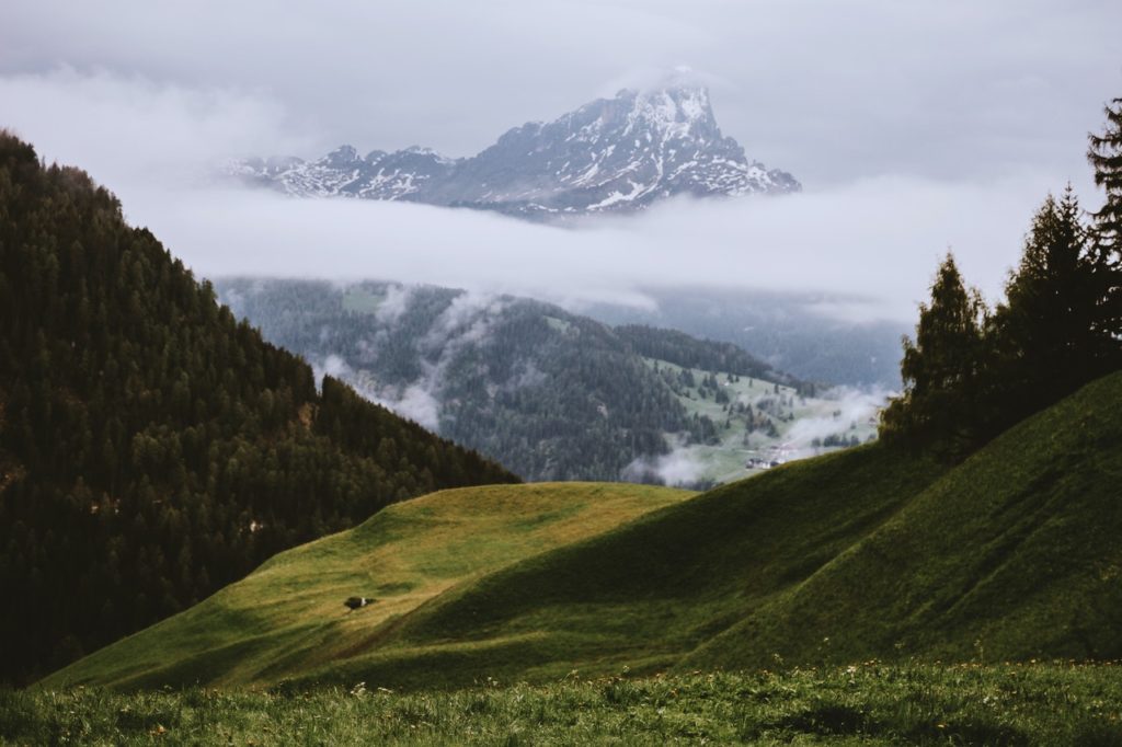 grass covered hill