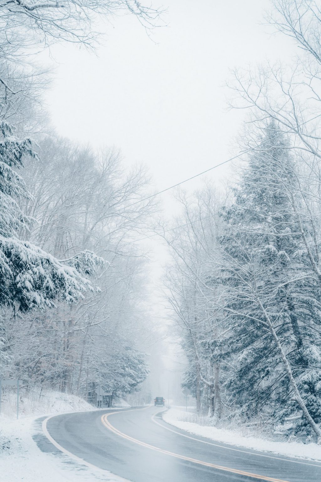 grayscale photo of trees covered with snow