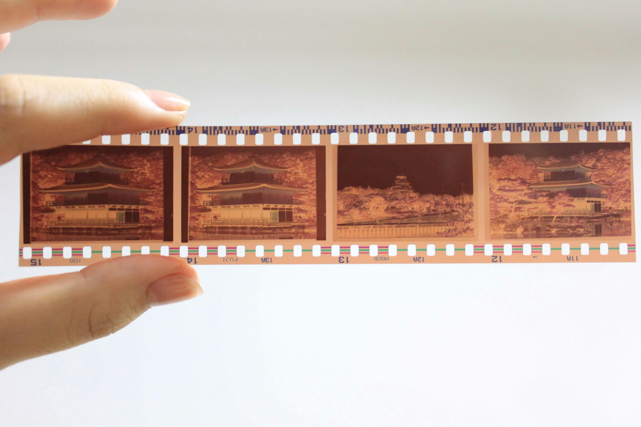 Hand holding a colour negative strip against a white background