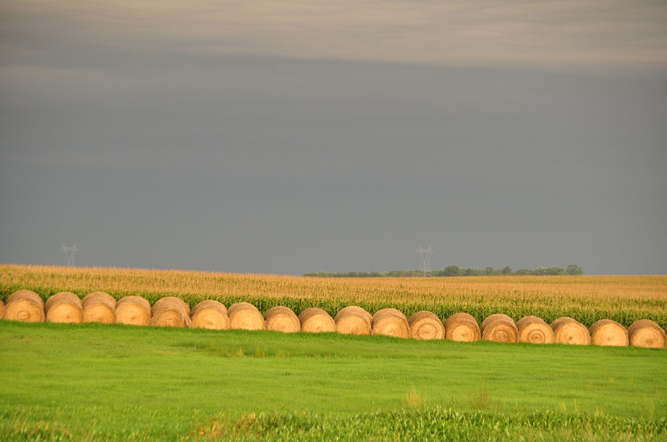 field atmospheric