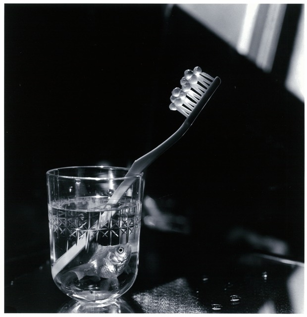 Kon Michiko, Goldfish, Salmon Roe, and Toothbrush, 1985 modern photography