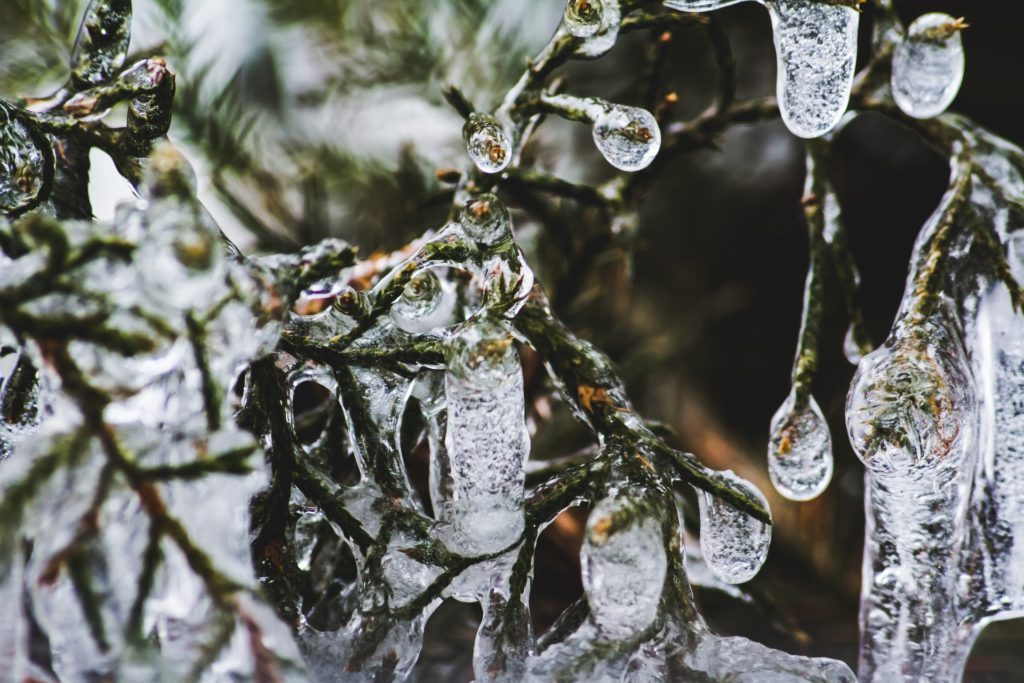 icicles winter photographs