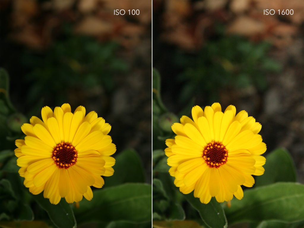 iso comparison